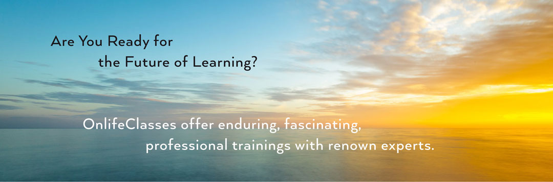 Online Trainings – E-learning -  Online Courses – Business Online Trainings